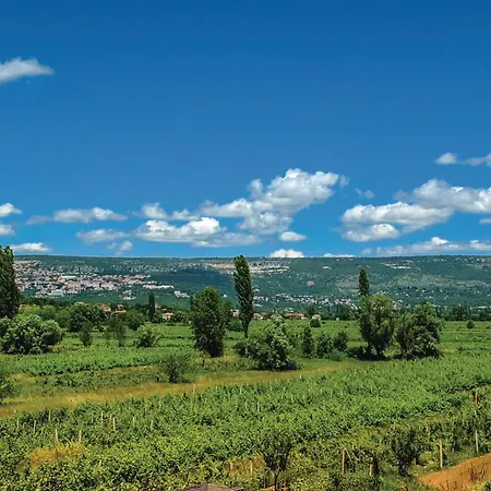 Awesome In With Wifi * Zmijavci